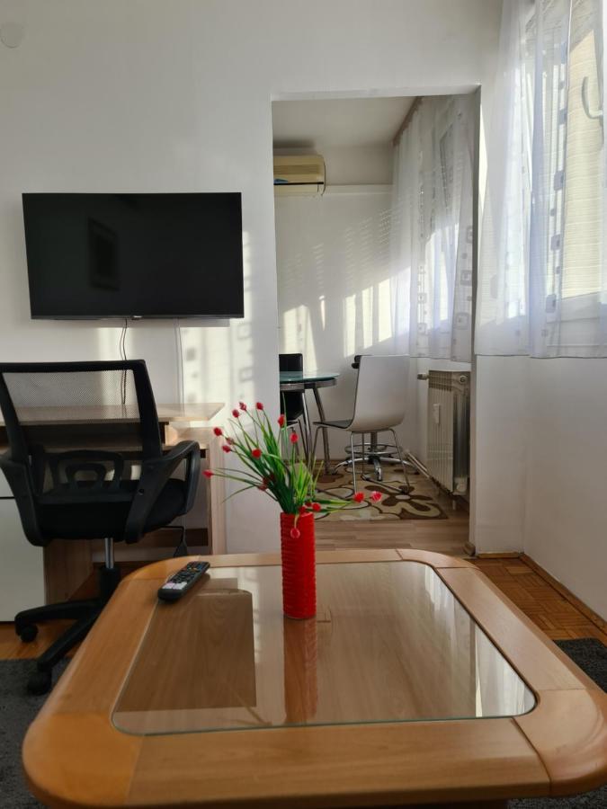 Apartman U Velikoj Gorici Zeljko Velika Gorica Exterior foto